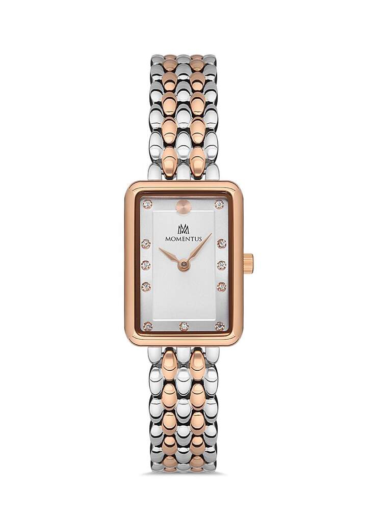MOMENTUS SW273T-02SR Erkek Kol Saati